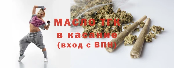 шишки Сатка