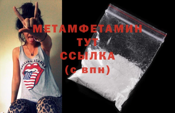 шишки Сатка