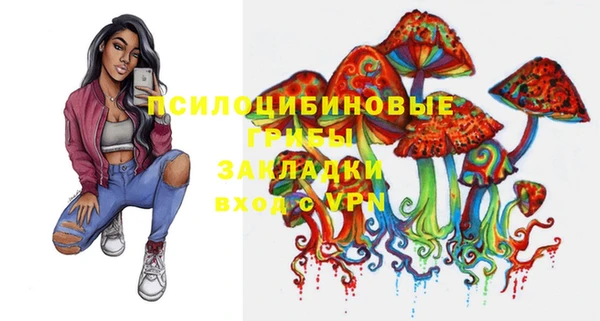 шишки Сатка