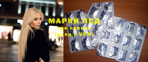 шишки Сатка